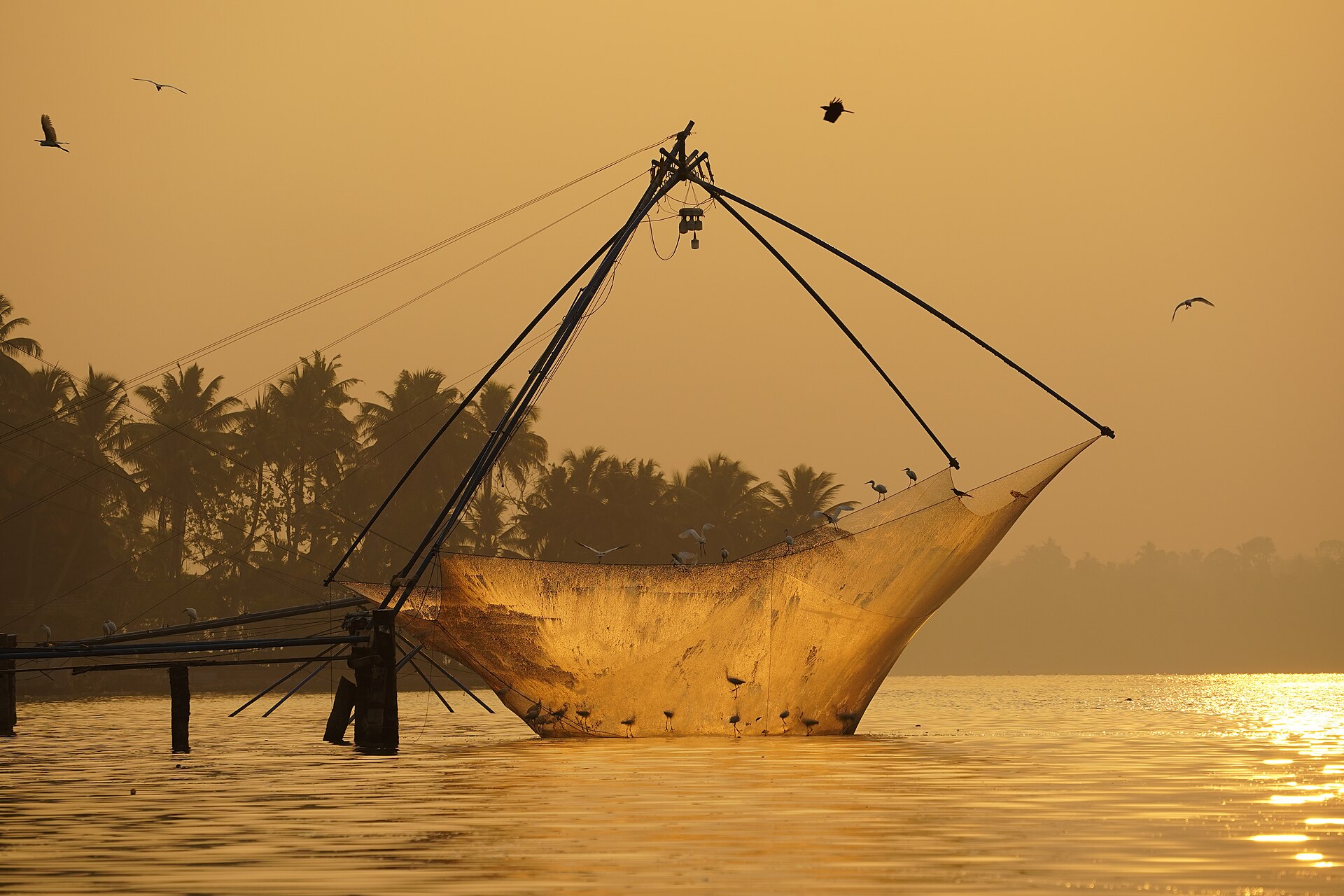 Chinese Fishing Nets in Kochi